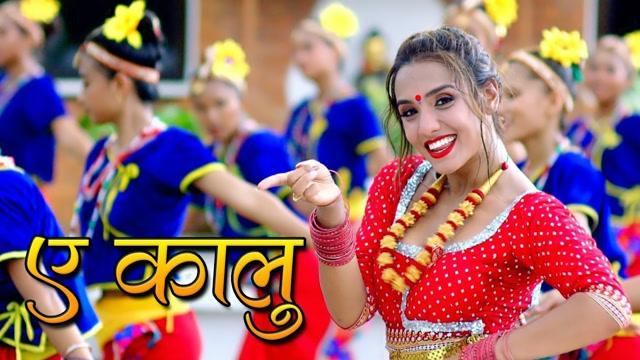 观看尼泊尔民族舞蹈